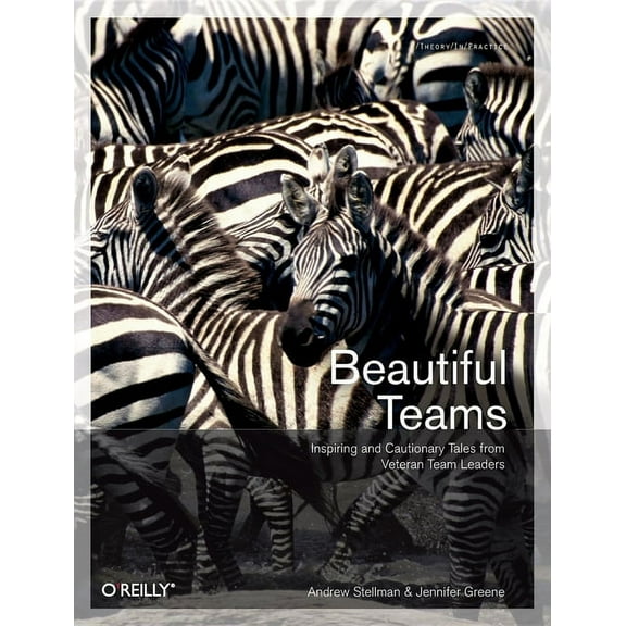 Beautiful Teams (Paperback)