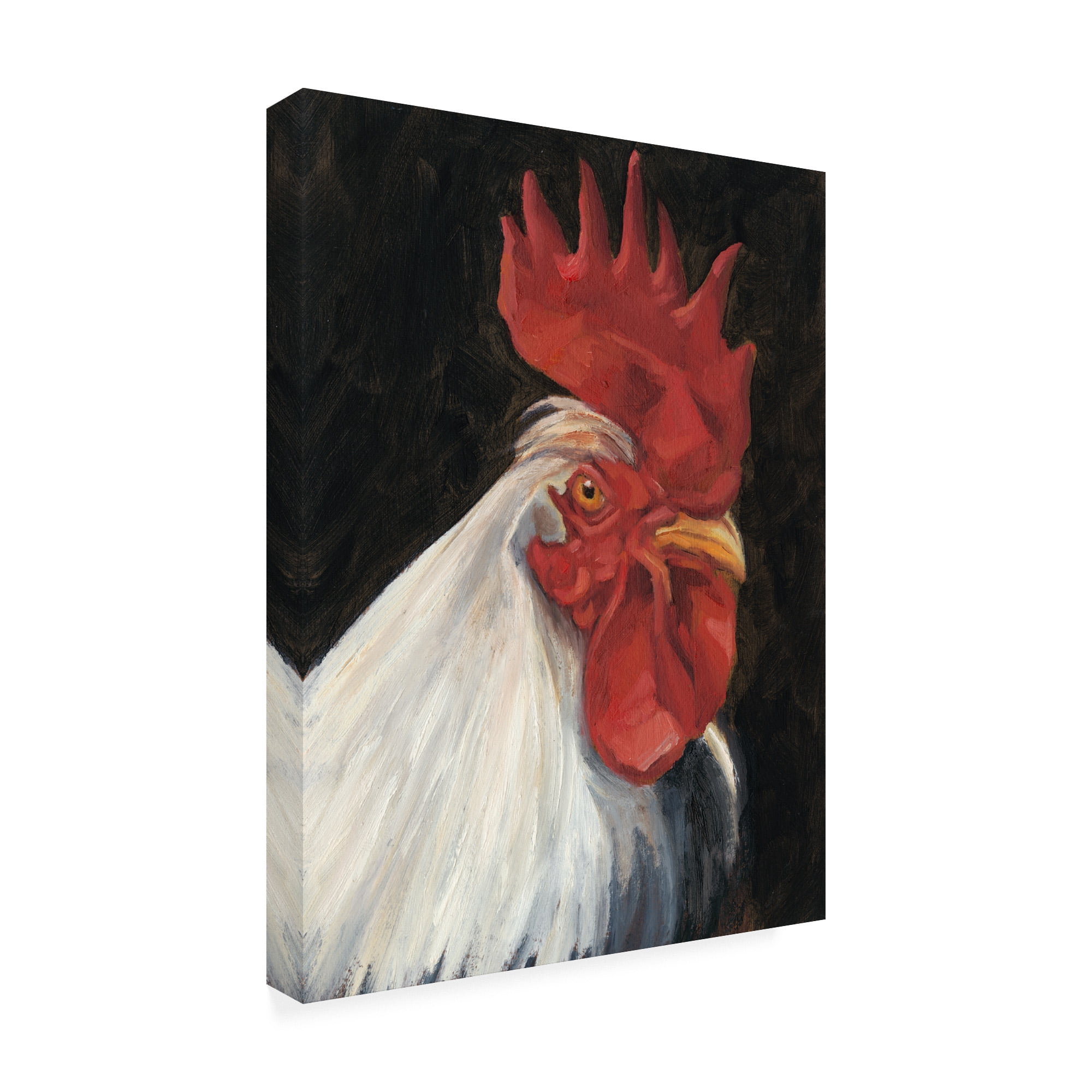 Trademark Fine Art 'Rooster Portrait I' Canvas Art by Ethan Harper