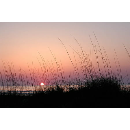 Canvas Print Hilton Head Sea Grass Sunrise Sea Gulls Stretched Canvas 10 x (Best Sunrise In Hilton Head)