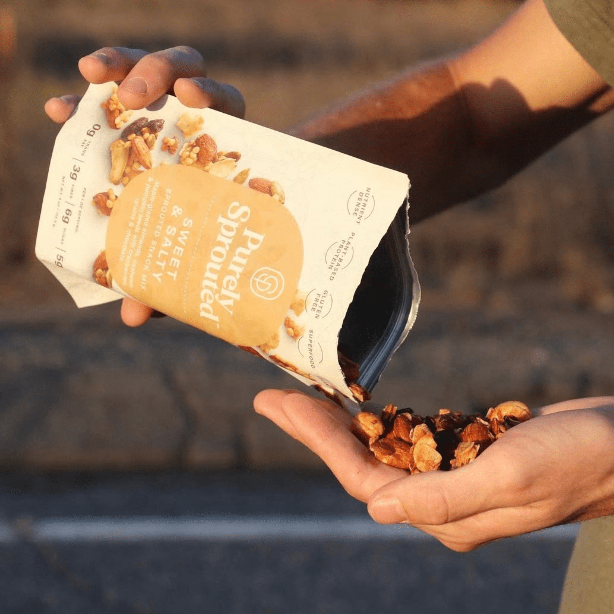 Purely Sprouted Sweet & Salty Sprouted Nut & Seed Clusters, Non-GMO, 2 Pack, 4 oz