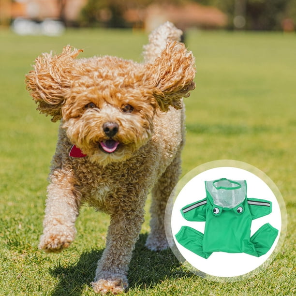 unbranded Abrigo Para Perros Impermeable Con Capucha Transparente Y Y Moderno