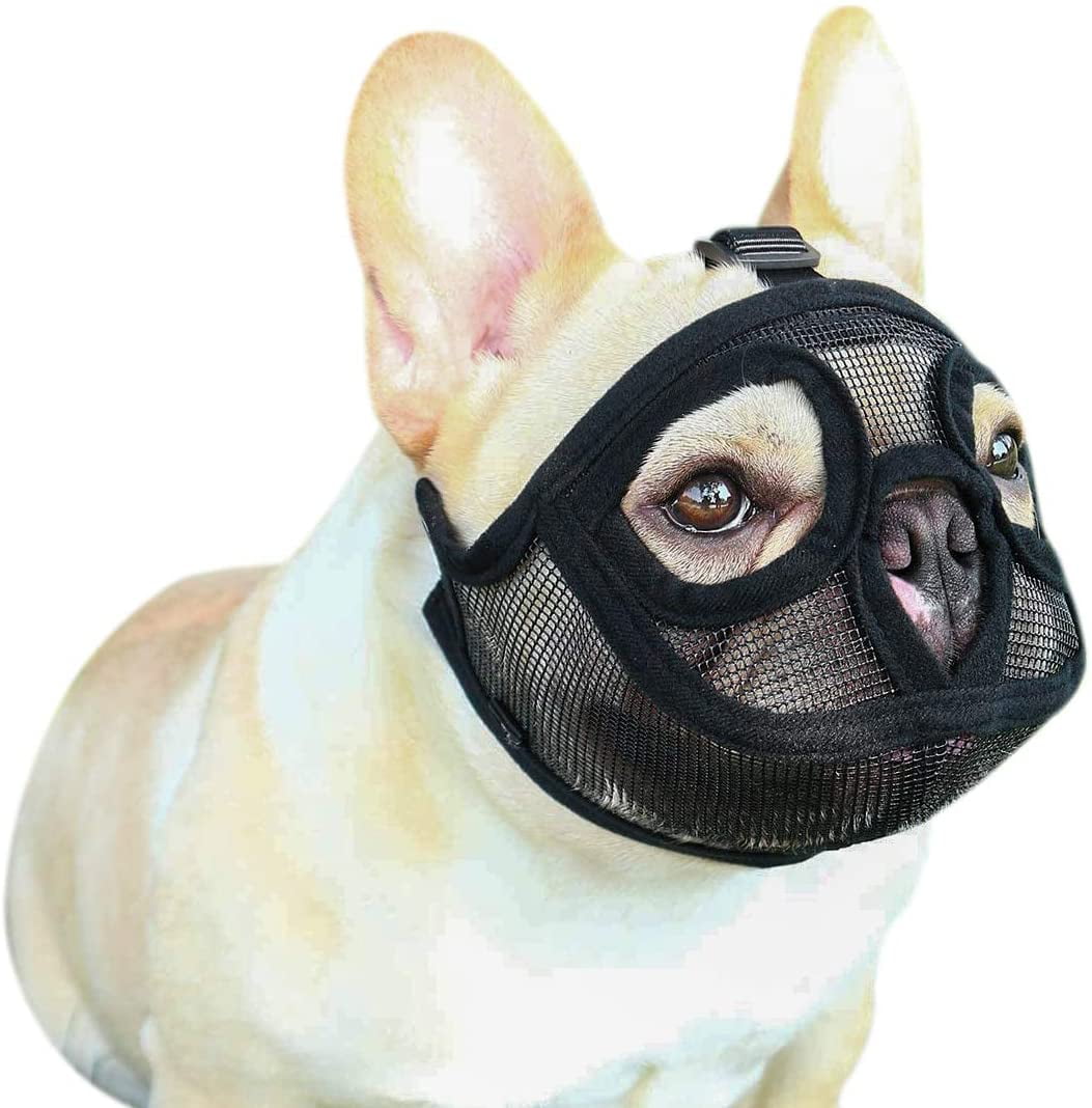 do dogs have to wear muzzles in france