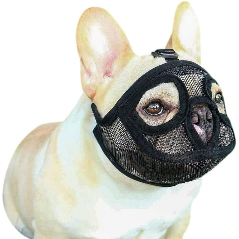 Muzzle for pekingese outlet