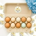 320 Pcs Farm Fresh Egg Carton Labels 2 Inch Chicken with Flower Egg ...