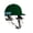Green, variant on Shrey Master Class AIR 2.0 Cricket Helmet - STEEL