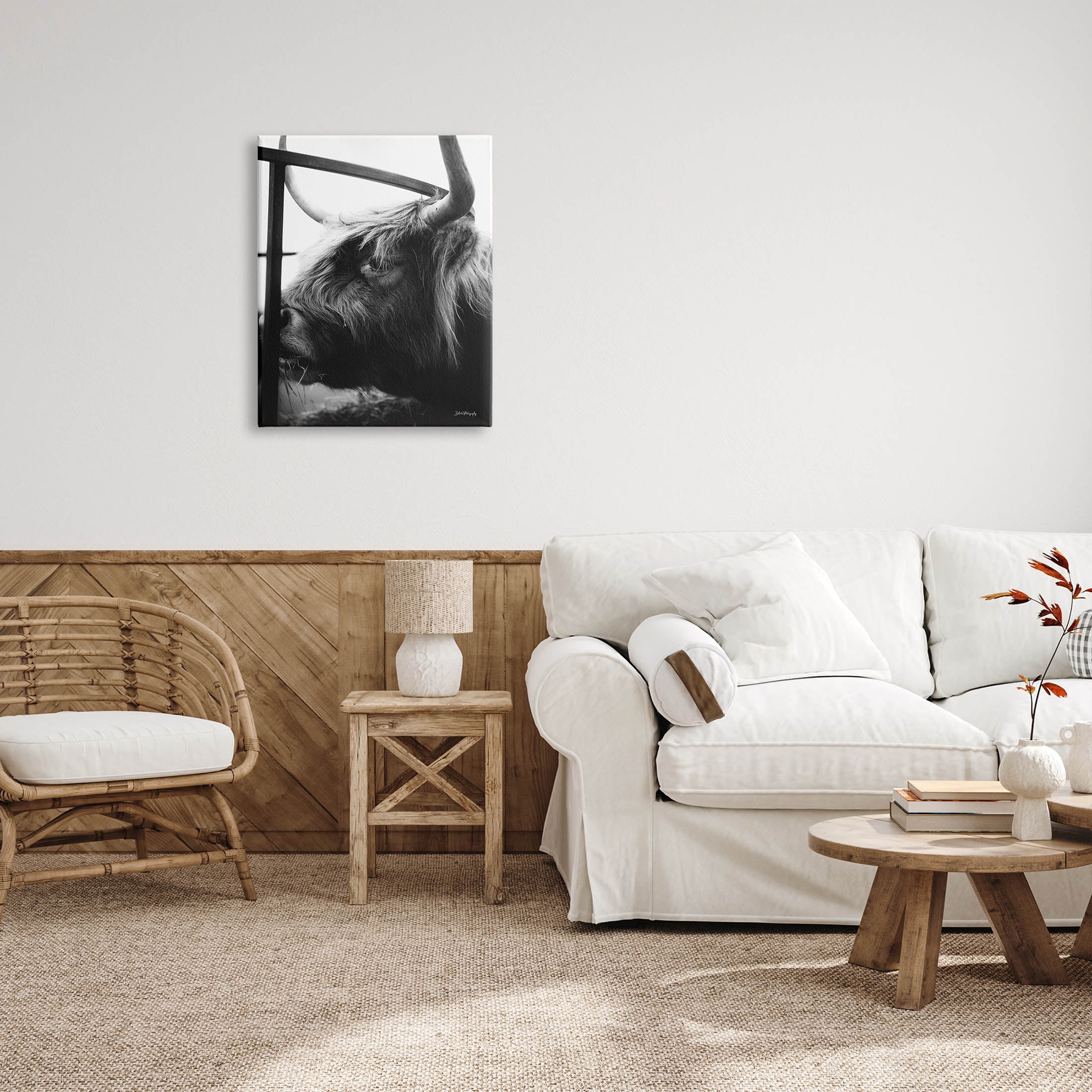 Longhorn Cattle Feeding Portrait Animals & Insects Photograph Gallery Wrapped Canvas Print Wall Art