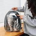 thumbnail image 2 of Pet Carrier Cat Dog Tote Portátil Transpirable Bubble Capsule Bolso para senderismo Perros s Gatos Viajes al aire - Rosado Sunnimix Portador de viaje para mascotas, 2 of 8