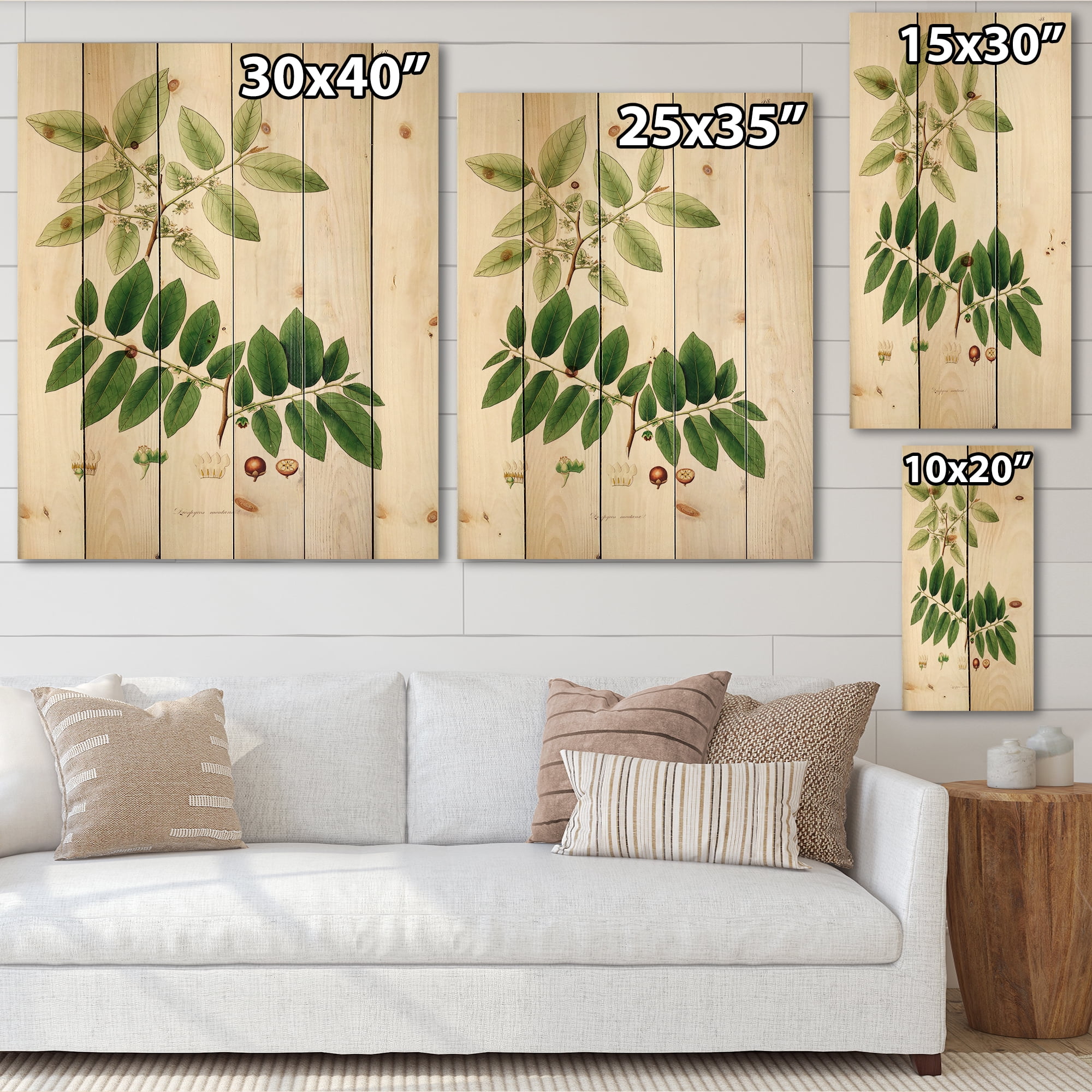 Designart 'Ancient Botanicals XIV' Farmhouse Print on Natural Pine Wood