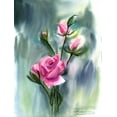 thumbnail image 2 of Shefranov, Olga 15x18 Gold Ornate Wood Framed with Double Matting Museum Art Print Titled - Pink Roses, 2 of 4
