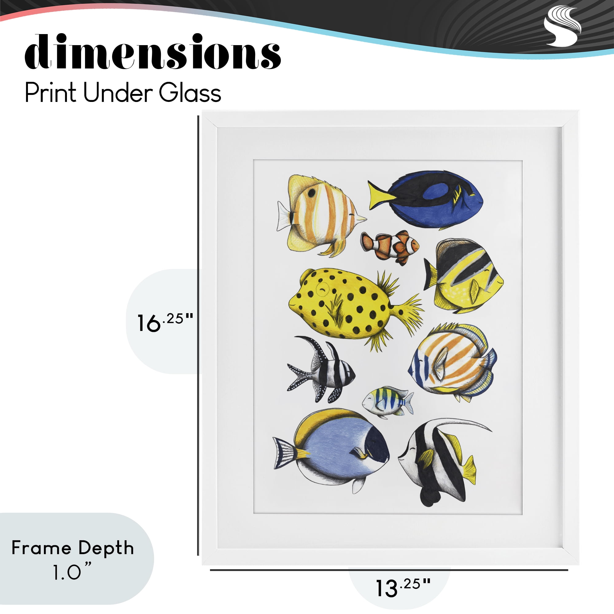 Stupell Industries Aquatic Fishes Collection White Framed Print Under Glass, design by Cecilia Battaini