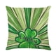 thumbnail image 1 of Cojín de asiento, artículos esenciales para dormitorio, funda de almohada con estampado irlandés, cojín decorativo para sofá del Día de San Patricio, regalo para hombre, regalo para mujer, cojines dec, 1 of 2