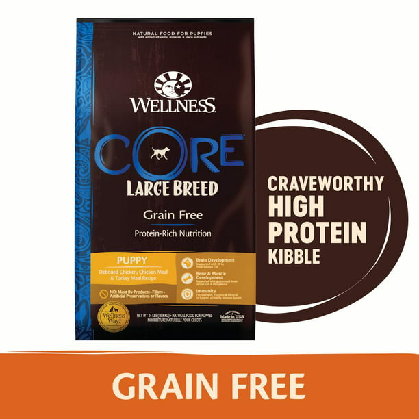 Wellness CORE Natural Grain Free Dry Puppy Food, Large Breed Puppy, 24