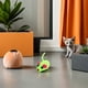thumbnail image 4 of piezas de cuerda elástica para ratón, juguete divertido para gato, juguete interactivo (color aleatorio), 4 of 8