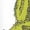 WHITE, variant on The Grinch - Big Portrait - Youth Girls Boxy T-Shirt