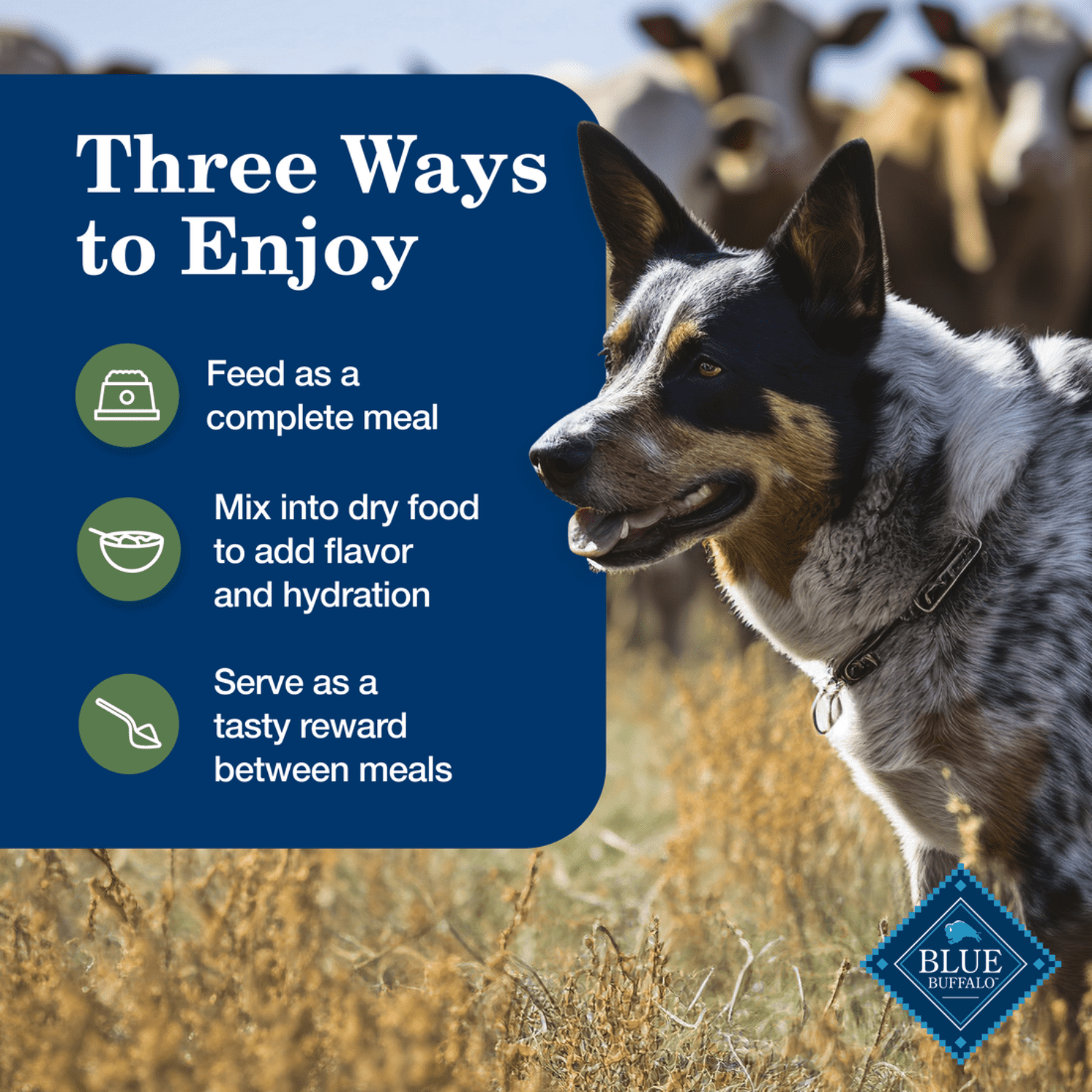 Blue Buffalo Homestyle Recipe Variety Pack Adult Lamb & Turkey Canned Dog Food, Count Variety Pack