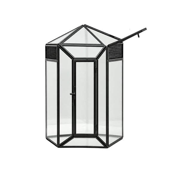 Glass Terrarium Enclosure with Single Front Door for Routine Reptiles Care