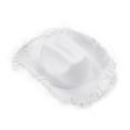thumbnail image 4 of Cowboy Hat with Feathers Decoration for Women Cowgirl Hat Furry Trim Wide Brim Hat Funny Party Club, 4 of 6