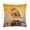 Pattern-2, variant on Pillow Cover Robin Bird Throw Pillow Covers 16"x16" Decoration for Sofa Couch Vintage Lovely Robin Sitting on Tree Branch Decorative Throw Pillow Covers
