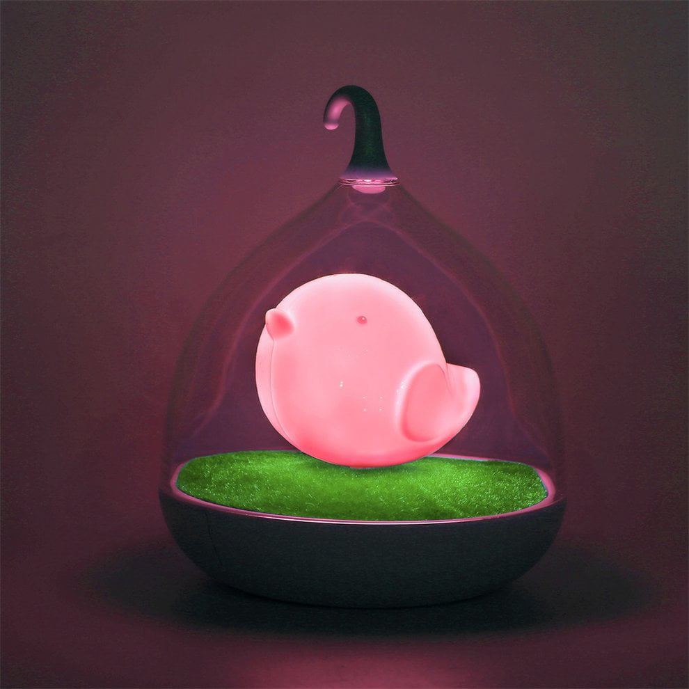 Cute Birdcage Lamp Energy Saving LED Rechargeable Night Light USB Charging USA 
