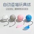 thumbnail image 2 of LED Teaser Ball with Replacement Head Electric Cat Toys for Pet, 2 of 8
