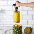 Stainless Steel Pineapple Corer & Slicer,Silver/Black