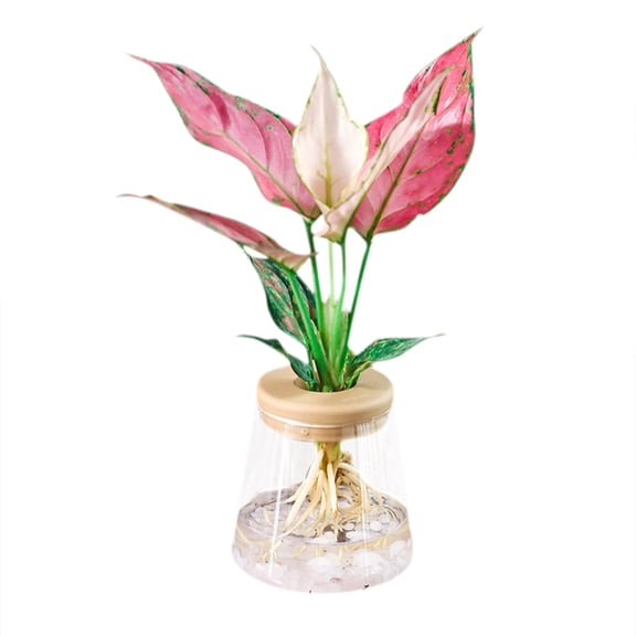 BESEW7 Self Watering Pots for Plants, Clear Hydroponic Planters with Auto吸水功能, Plastic Nursery Pot for Orchid, Self Watering Planter for Indoor Outdoor Use