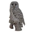 thumbnail image 4 of Hi-Line Gift Ltd Statue de Hibou sur Souche, Gris, 4 of 4