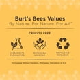 thumbnail image 5 of Burt's Bees Lingettes pour Chatons, 50 Lingettes, 5 of 5