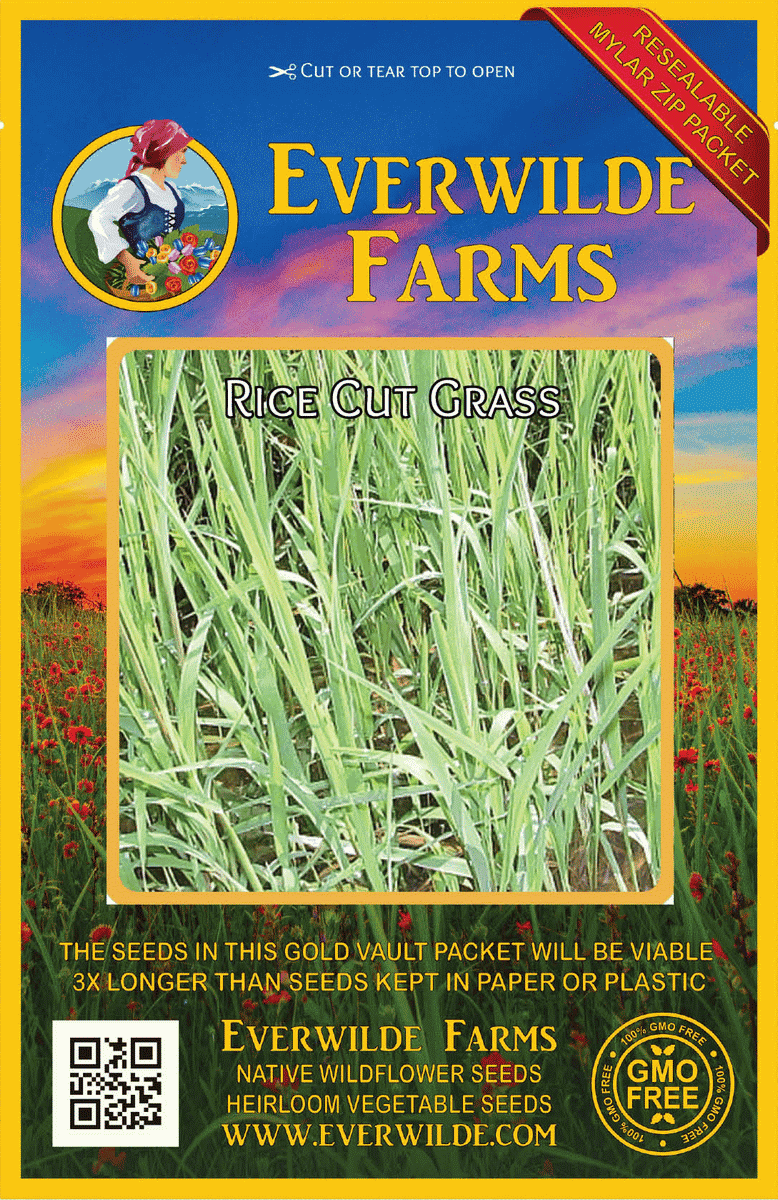 Everwilde Farms - 1/4 lb Rice Cut Grass Native Grass Seeds - Gold Vault Bulk Seed Packet