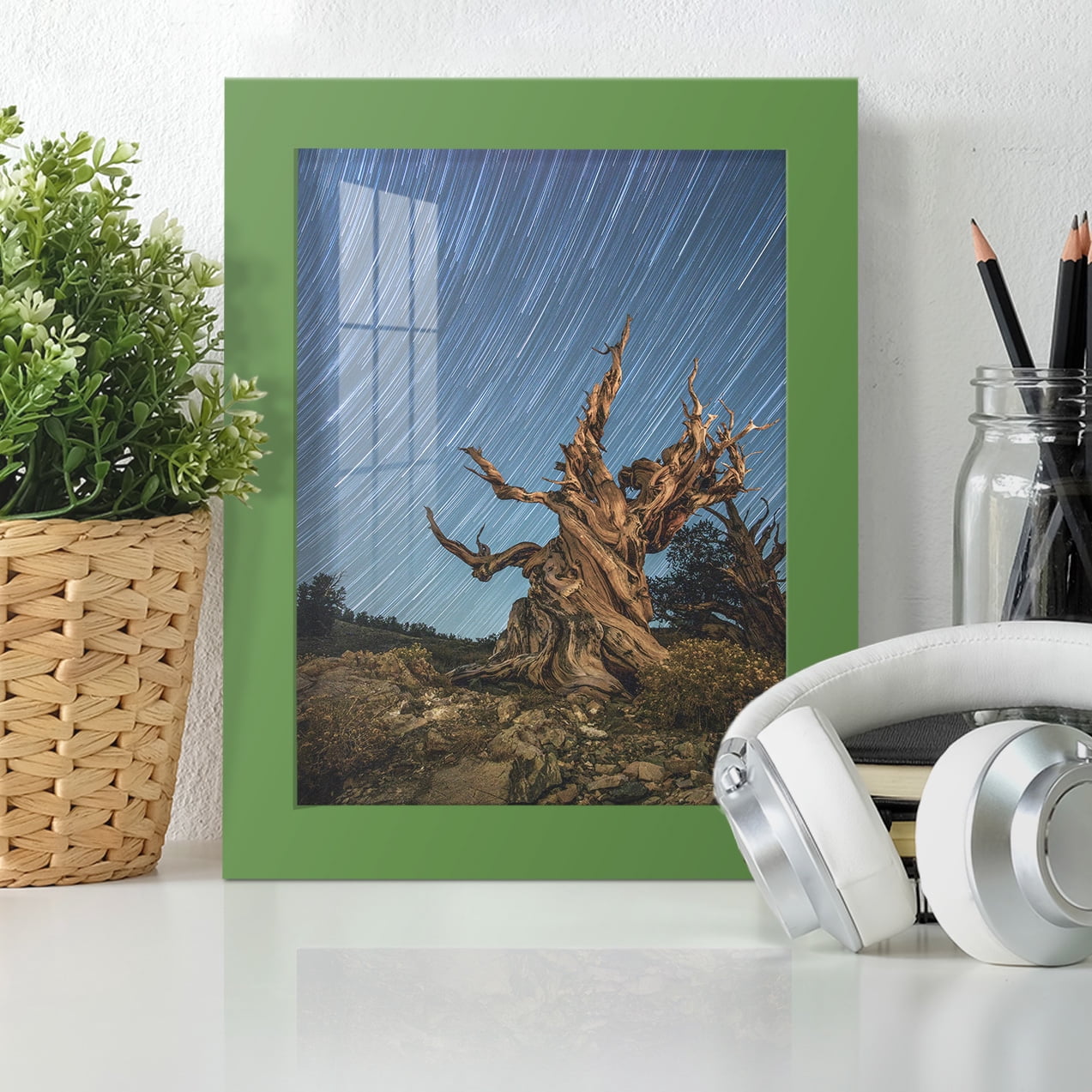 Modern 6 in. x 8 in. Green Picture Frame (Set of 4)