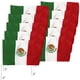 thumbnail image 1 of Bandera de México VentDepot Carro MXcarFlag 10 Pzas 30x45cm Tela Poliéster Asta Plástico Coche Tricolor, 1 of 1