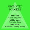 thumbnail image 4 of Perfume Milton-Lloyd Colour Me Volt Eau de Parfum para M 90 ml, 4 of 9