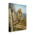 thumbnail image 3 of Trademark Fine Art Rusty Frentner Red Tailed Hawk Canvas Wall Art - 35x47, 3 of 5