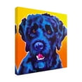 thumbnail image 2 of Trademark Fine Art 'Portuguese Water Dog Banks' Canvas Art by DawgArt, 2 of 3
