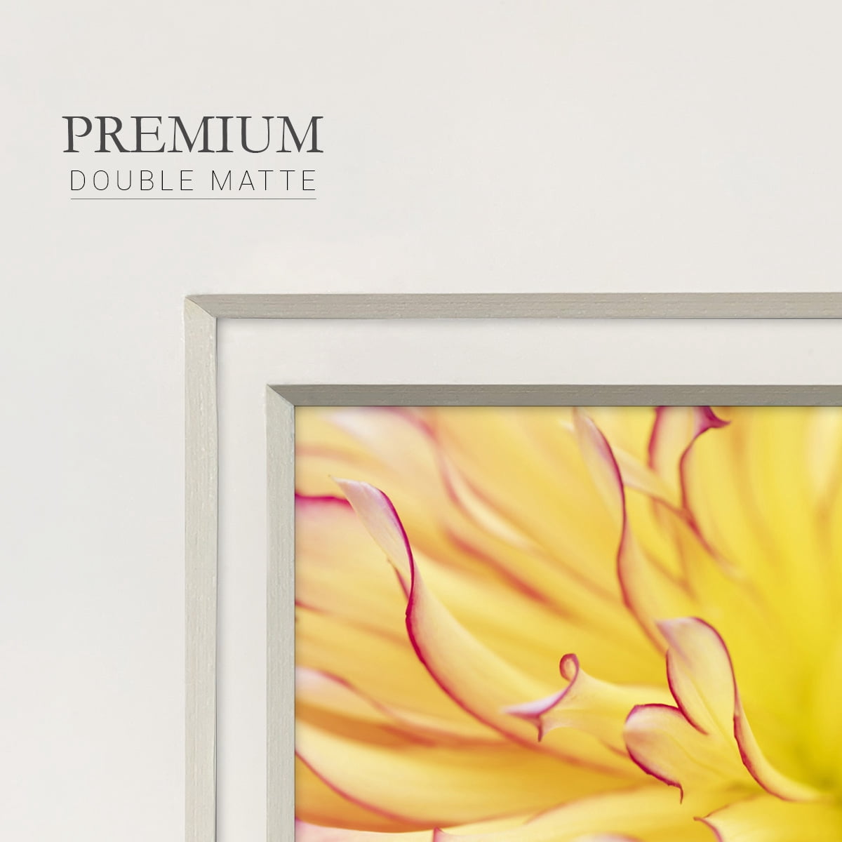 Blooms IIIPremium Framed Print