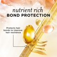 thumbnail image 2 of Revitalisant Pantene Nutrient Blends soins des boucles complets, 237 mL, 2 of 8