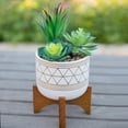 thumbnail image 3 of Flora Bunda CS1919E-BLK FAUX SUCCULENTS IN GOLD HANDPIANT 5' CERAMIC FOOTED STAND, 3 of 5