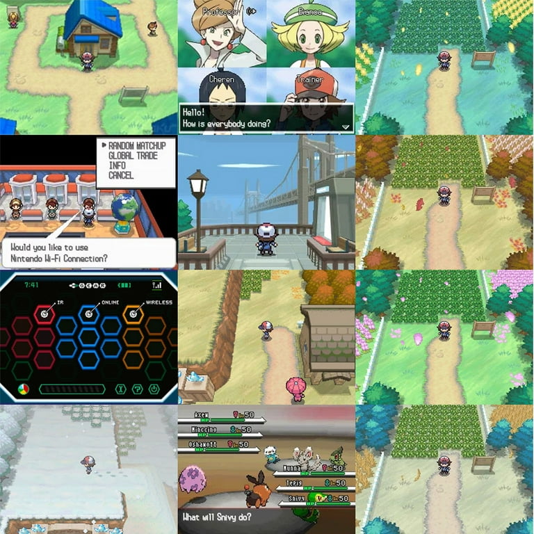 Pokemon Black Version - ds - Walkthrough and Guide - Page 670 - GameSpy