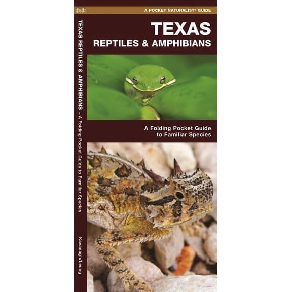 Texas Reptiles & Amphibians : A Folding Pocket Guide to Familiar Species