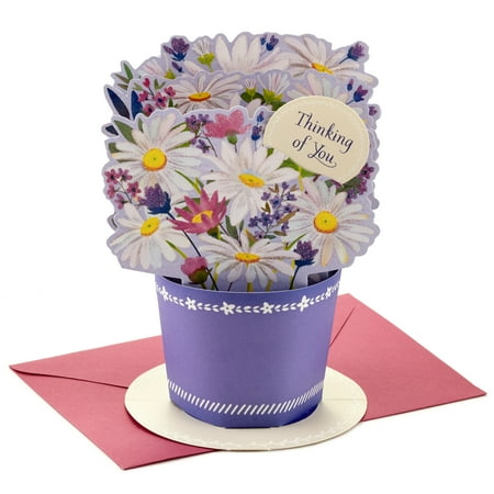 Hallmark Paper Wonder Thinking of You, Birthday, Sympathy Pop Up Card (Daisy Bouquet 3D Card)
