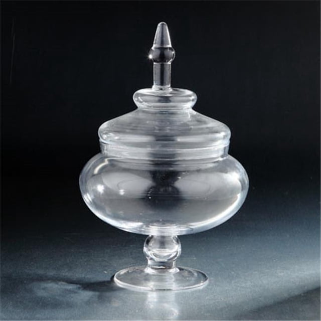 Pot en Verre de 14 x 10 Po avec Couvercle&44; Transparent