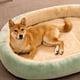 thumbnail image 4 of Kennel Canil Indoor Dog Bed Accessories Enclose House Supplies Dog Bed Camping Cat Shop Furniture Casa Perro Pet Products MR50GS ShopWise Round, 4 of 12