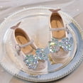 thumbnail image 4 of ZACPNCV Girls Dress Shoes Low Heel Princess Flats Mary Jane Flower Wedding Party Glitter Shoes for Kids Toddler Pink 6.5-7 Years, 4 of 9
