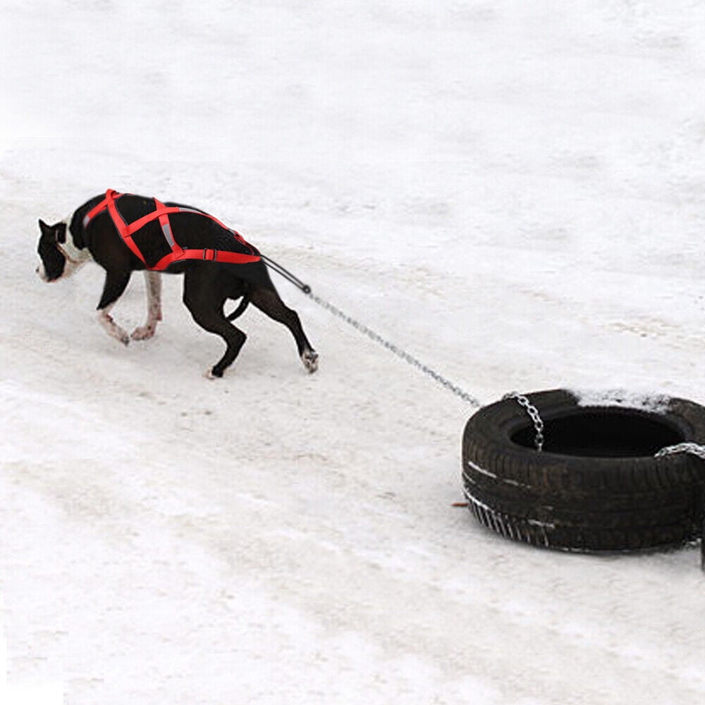 X-Back Dog Weight Pulling Harness Reflective Padded Sledding Training Sport Vest for Medium Large Dogs Pitbull