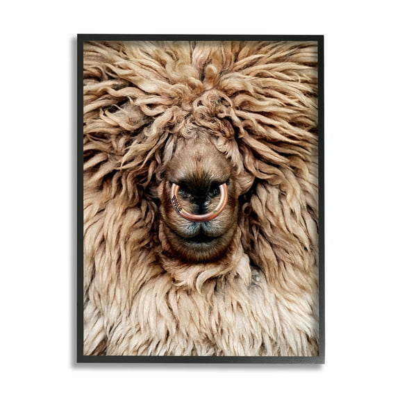 Stupell Industries Long Haired Sheep Portrait Animals & Insects Painting Black Framed Art Print Wall Art, 11 x 14
