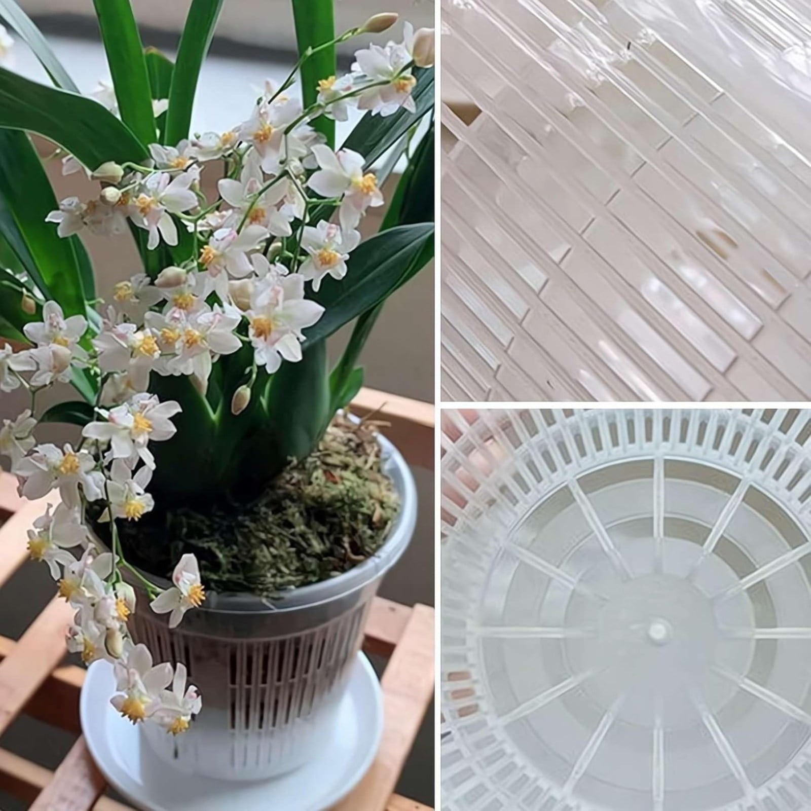 Naked Root Pot, 1 Pack 5.51x4.72 Inch Clear Orchid Pots with Holes for Repotting, Breathable Orchid Pot, Slotted Plastic Orchid Planters with Drainage for Plants and Flowers Root Health Indoor Outdoor