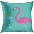 thumbnail image 3 of ECZJNT Set of 4 Pillow Cases Martini Century Modern Turquoise White Cottage Tropical Cocktails Throw Pillowcase Cover Cushion Case Home Decor 18x18 inch, 3 of 5