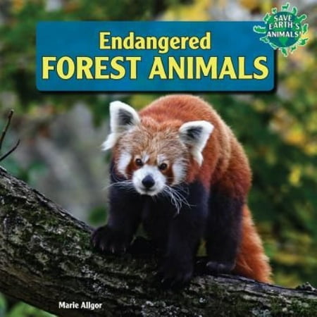 Image result for endangered forest animal photos