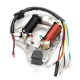 thumbnail image 2 of AC Stator 2 Coil Ignition Magnet Plate for 50cc 70cc 90cc 110cc 125cc Sunl ATV Four Wheeleres CDI, 2 of 6