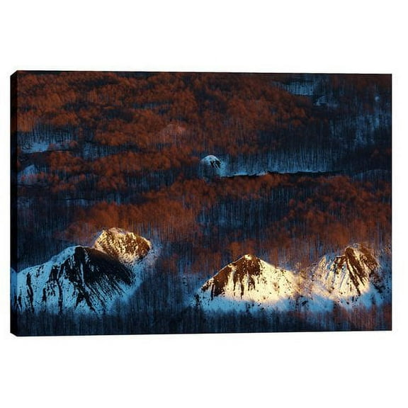 Cortesi Home ''Touched'' by Jesse Estes Photographic Print on Wrapped Canvas